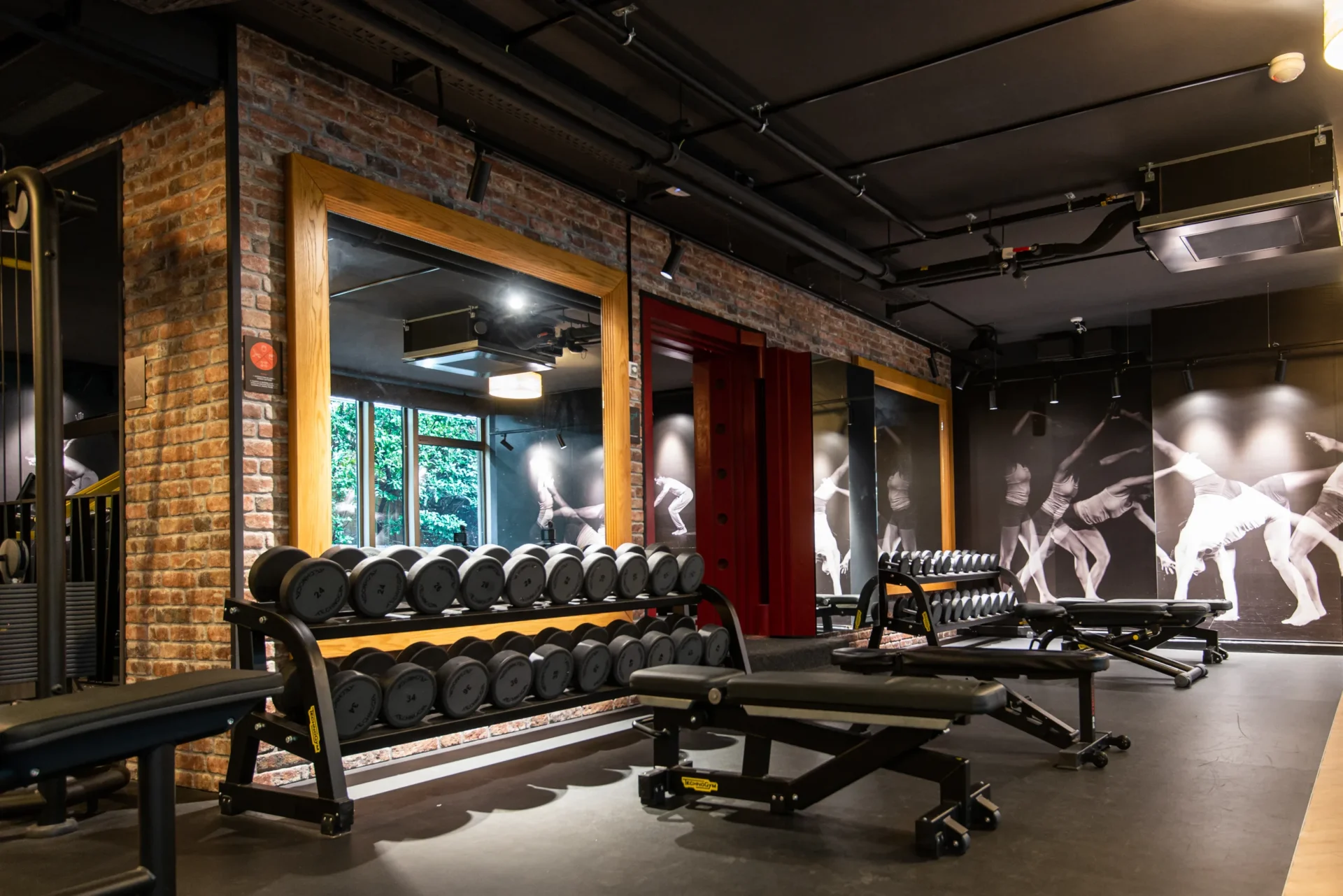 evo fitness geneva champel free weights area mirrors
