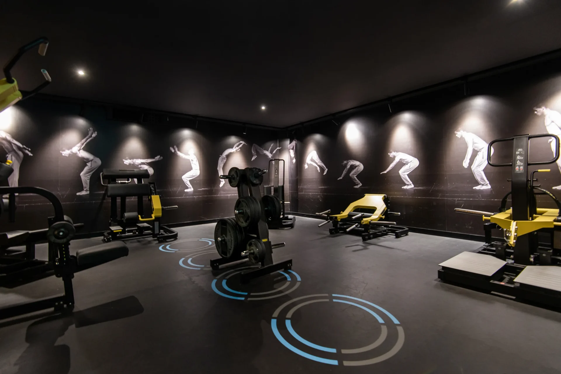 evo fitness geneva champel strength area plate loaded machines