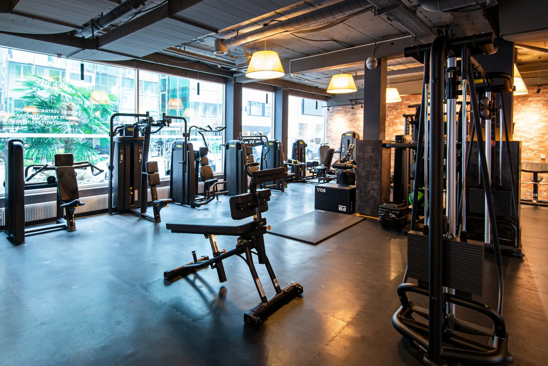 evo fitness lucerne strength area guided machines window