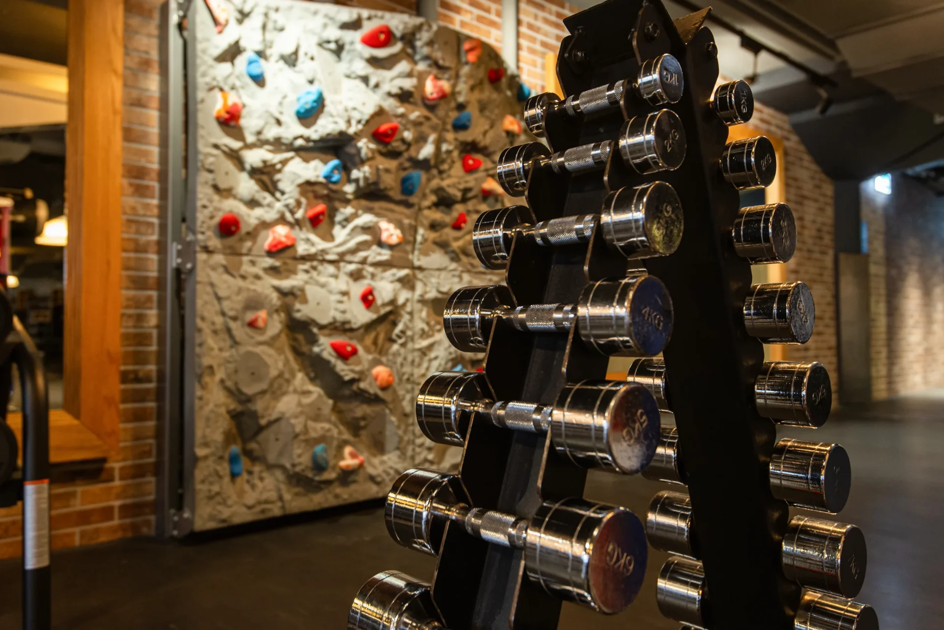 evo fitness zurich oerlikon strenght dumbbells climbing wall